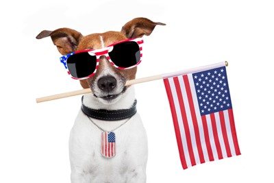 4thofjulydog