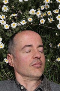 Image of a man napping in a field of daisies